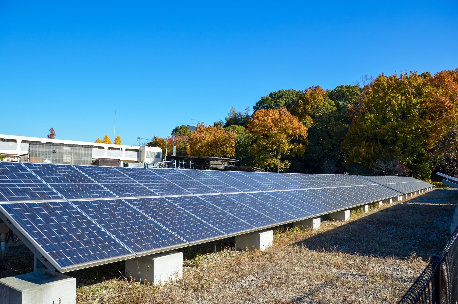 太陽光発電事業